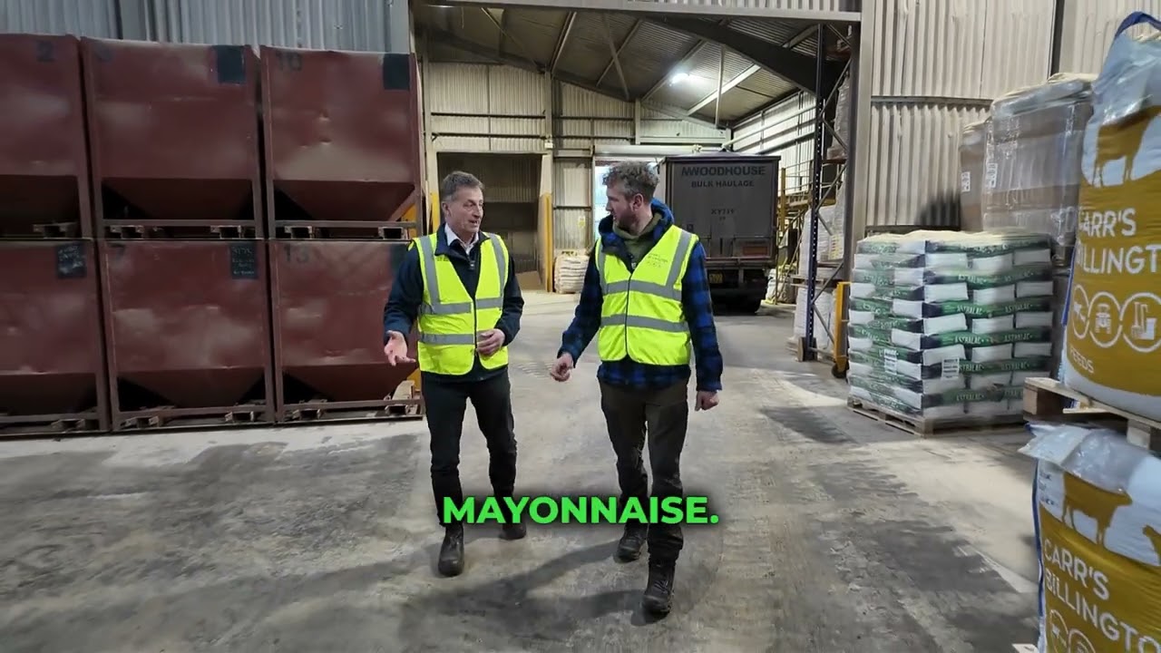 The Sheep Game Visits Carr's Billington: Learn how The Billington Group supports UK farmers.