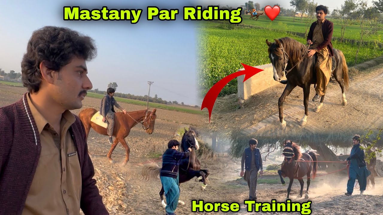 Mastany Ghordy Or Azlan Par Long Riding Ki 😍🏇 || Horse Dance Training 
