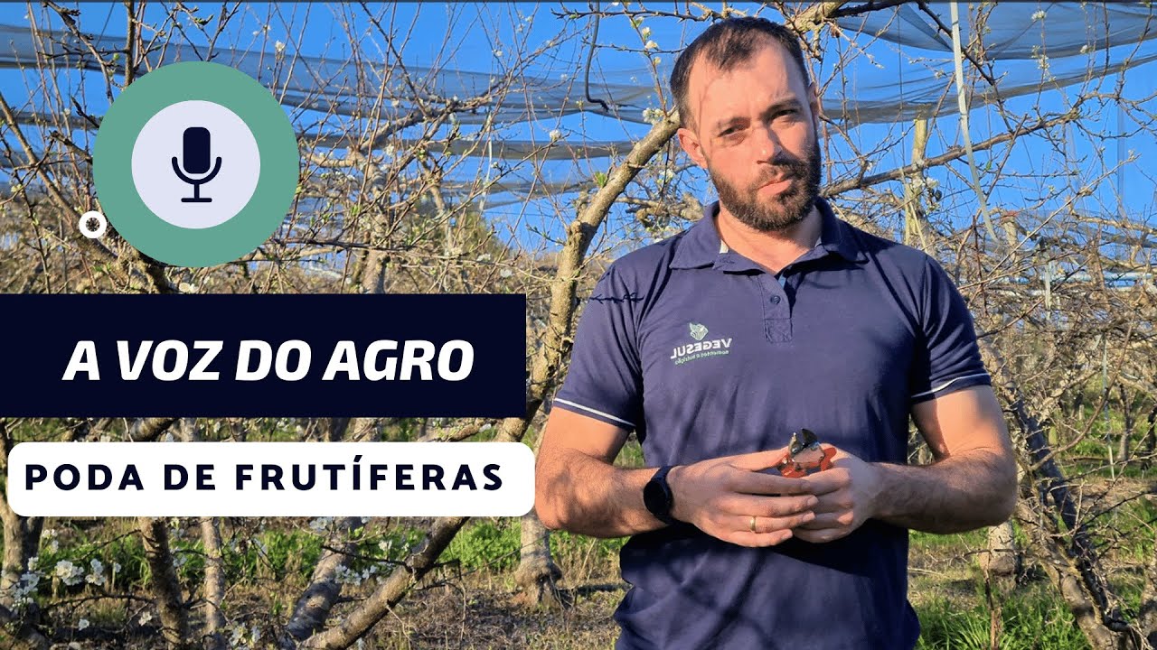 A Voz do Agro: Poda de Frutíferas Ameixa e Kiwi na Serra Gaúcha
