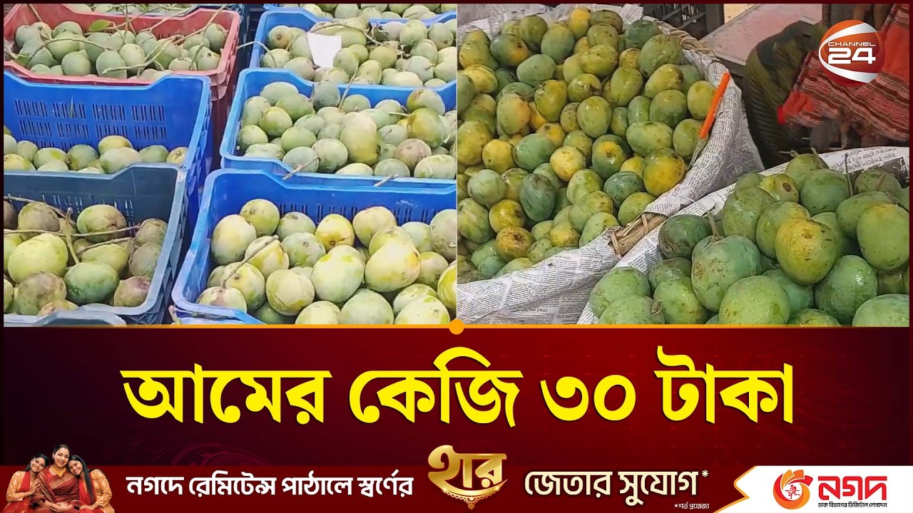 আমের কেজি ৩০ টাকা | Mango Price | Natore | Channel 24