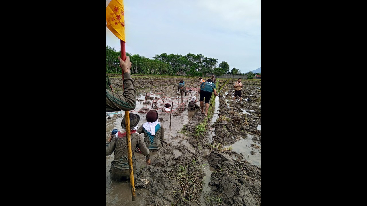 PERJUSA KELAS 6 SDN JOGOTRUNAN LUMAJANG 2026