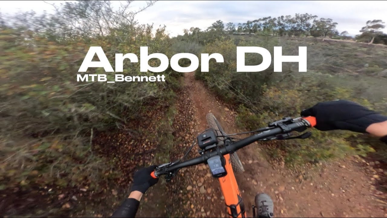 Arbor DH MTB | Canyon strive cfr 🚲