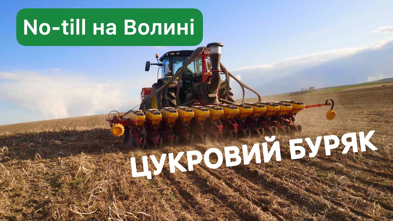 No-till на Волині | Цукровий буряк