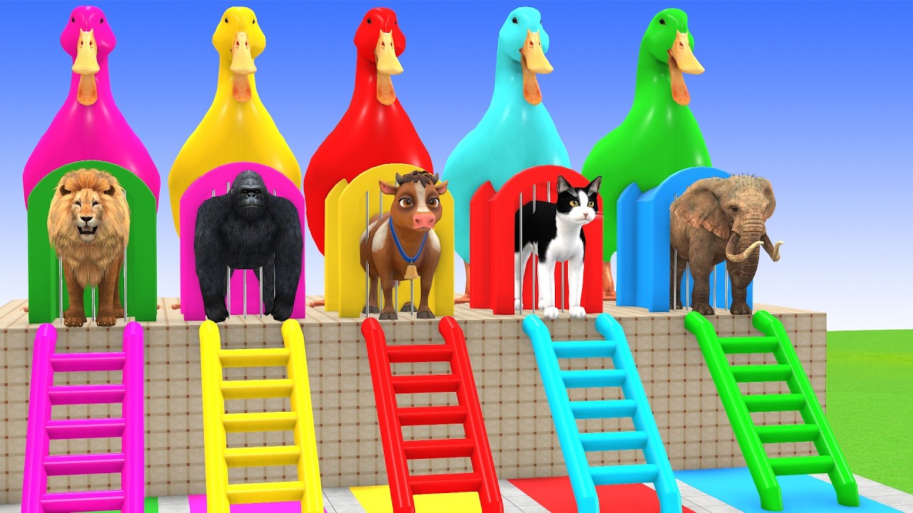 Playing as Spiderman in Long Slide Game with Cow Elephant Gorilla Hippo Tiger Funny 3d Animal Game