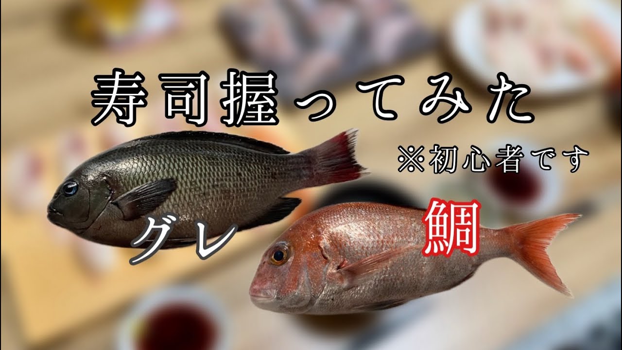 メインは鯛とグレ！【寿司を握る】