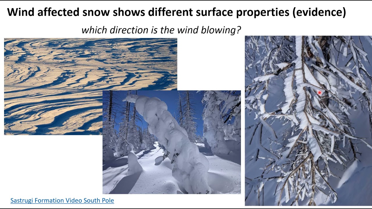Snow Science: Snow Transport