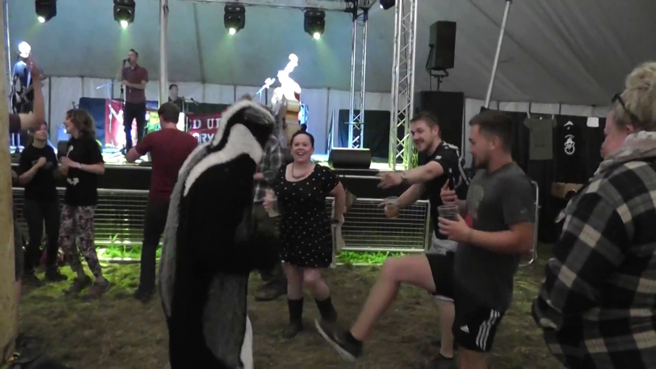 Skimmity Hitchers - Badger Man - Great Dorset Steam Fair  England  2017