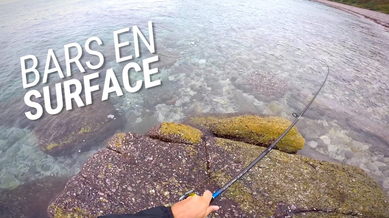 P&Ecirc;CHE DU BAR &Agrave; L'AUBE SOUS LA PLUIE (attaques en surface)