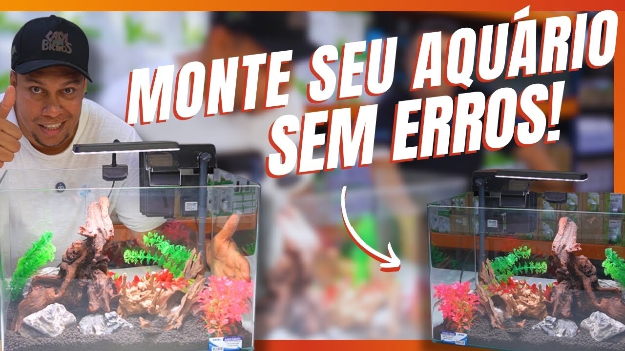 COMO MONTAR MEU PRIMEIRO AQU&Aacute;RIO! | A CASA DOS BICHOS