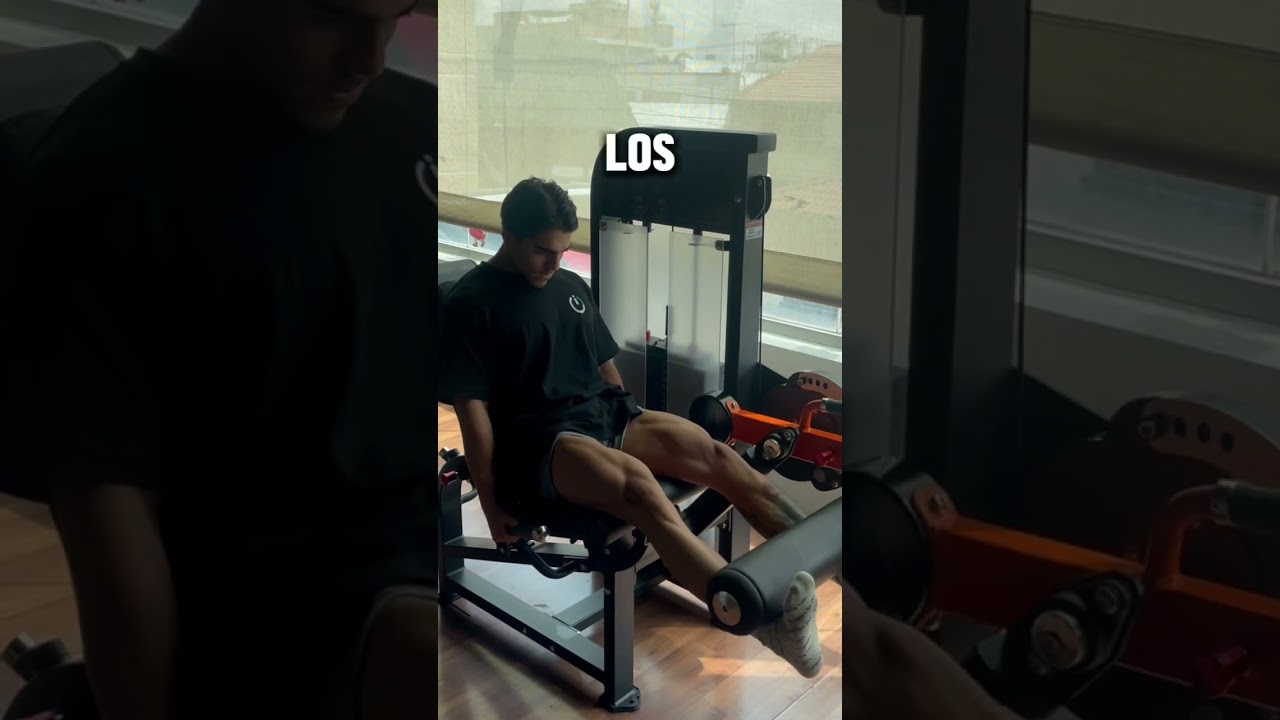 La manera correcta de realizar las extensiones de cuadriceps (D&Iacute;A DE PIERNAS)