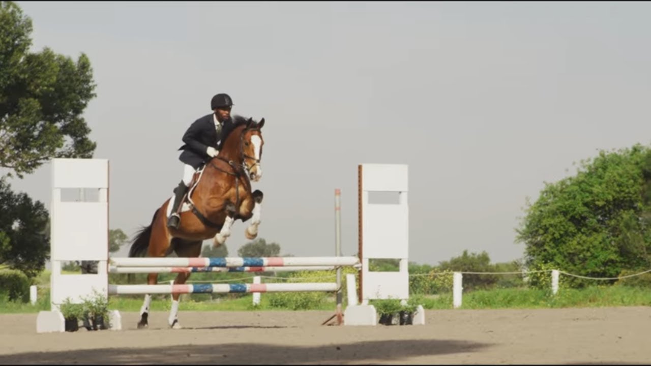 1 Hour of Beautiful Show Jumping Horses 🐎 Relaxing Equestrian Moments with Calm Music