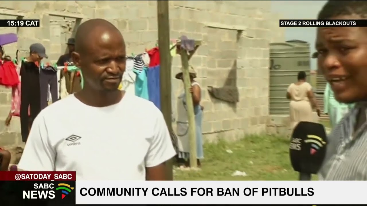 Community of Bhongweni township calls for removal of all pitbull dogs in their area