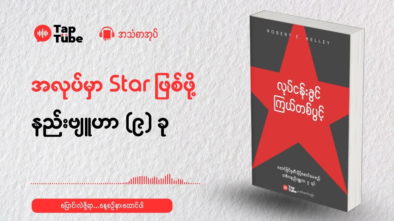 IQ မလိုဘဲ ထိပ်တန်းရောက်စေမယ့် လျှို့ဝှက်ချက် (၉) ခု  How to Be a Star at Work Audiobook