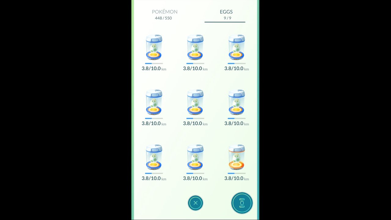 CRAZY egg hatch - 9 x 10 km eggs at the SAME TIME!?