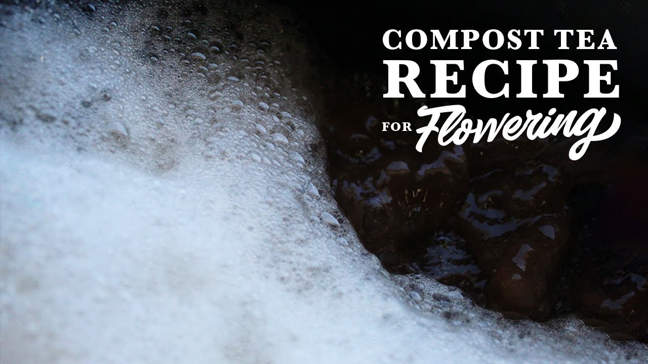 Organic Compost Tea Recipe For Flowering - 2018