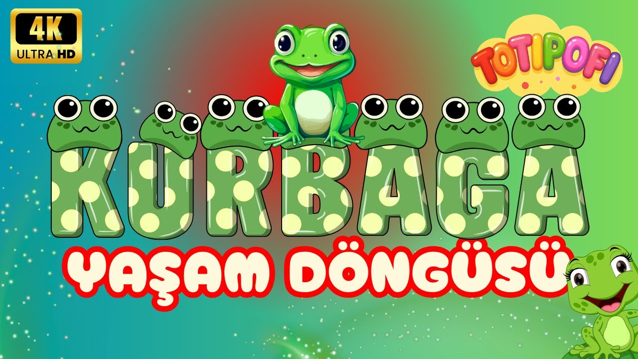Kurbağanın Yaşam Döngüsü 🐸 | Okul Öncesi Eğitici Video Animasyon | 2-6 Yaş Doğa ve Bilim Videosu