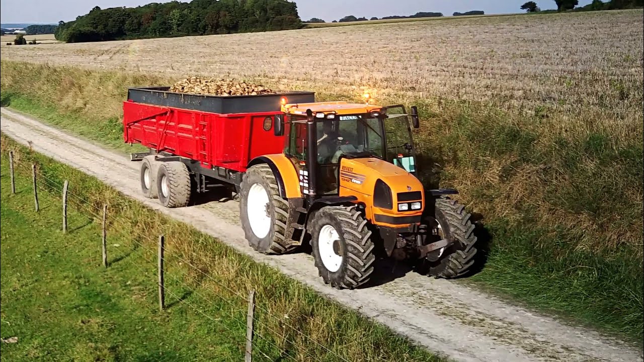 Arrachage Betteraves Renault Ares  🤩 / Ropa Tiger / Claas axion / Beet harvesting / Rübenernte
