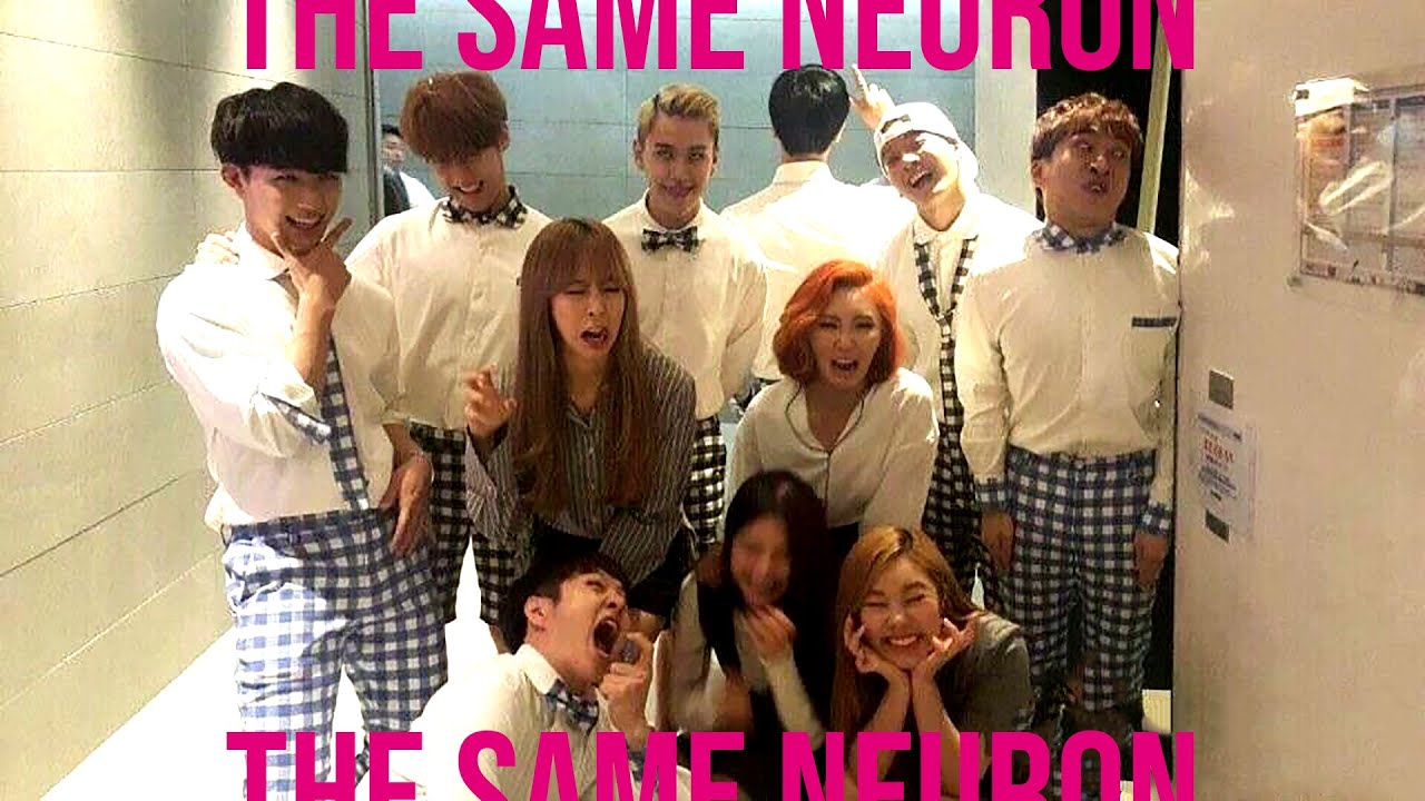 BtoB and Mamamoo sharing the same neuron