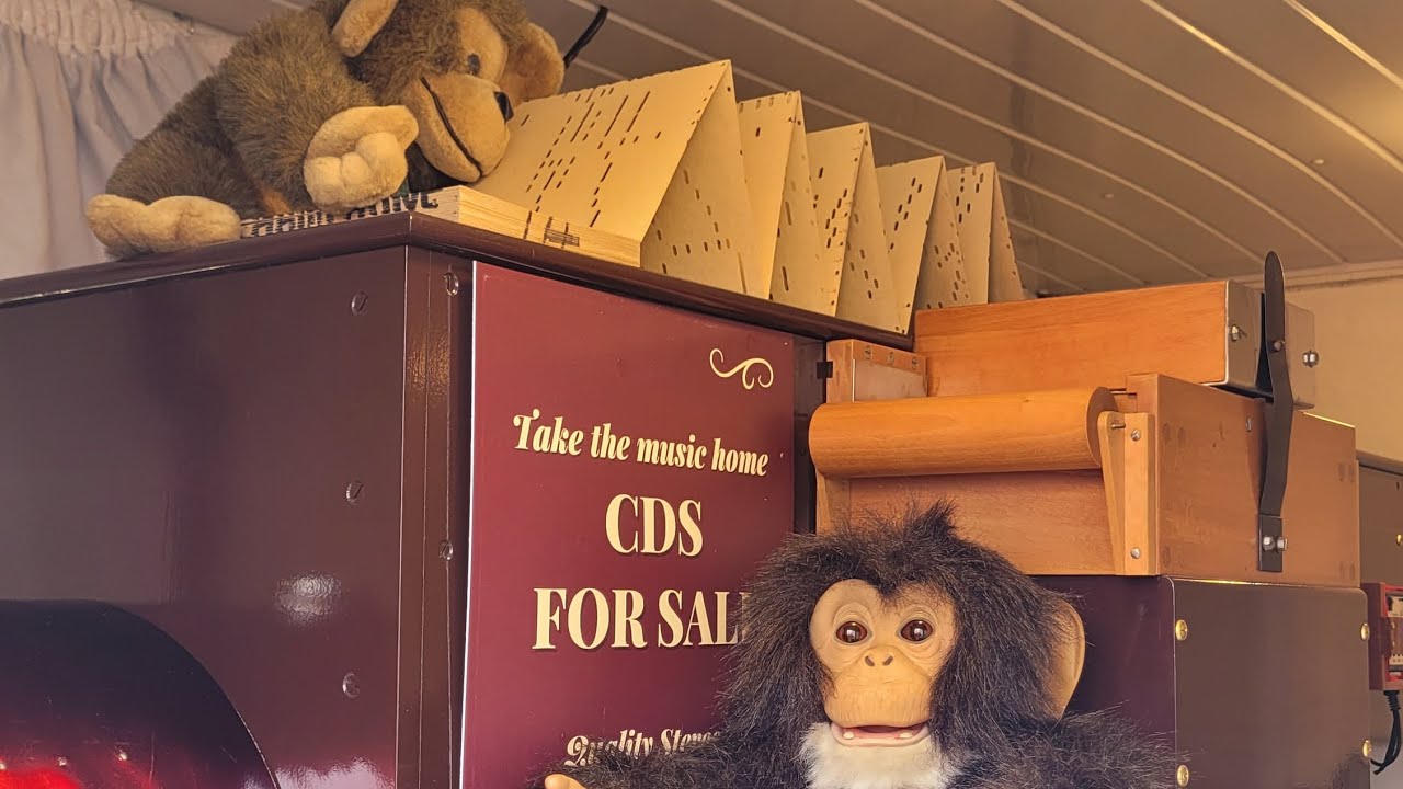 Organs at the Royal Cornwall Show 2025