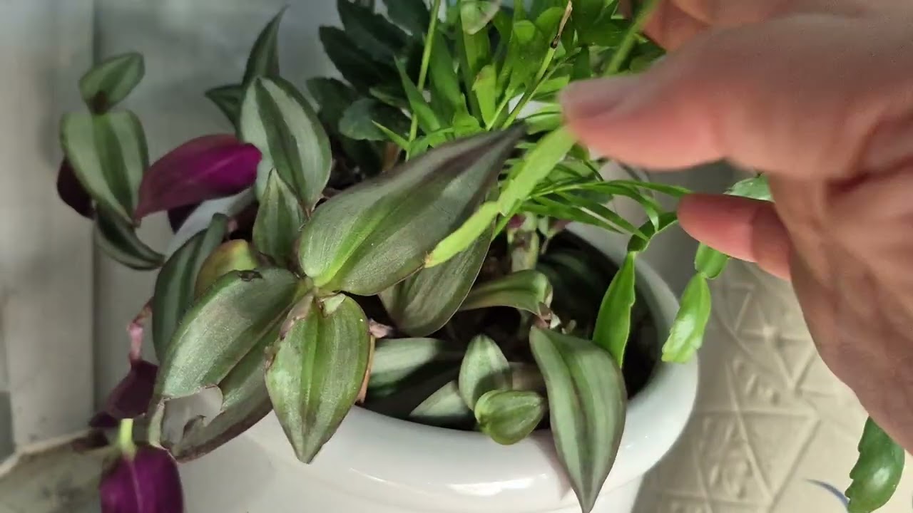 겨울 준비 하기