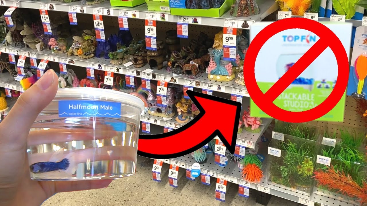 Что НЕ НУЖНО ПОКУПАТЬ для аквариума с бойцовыми рыбками!