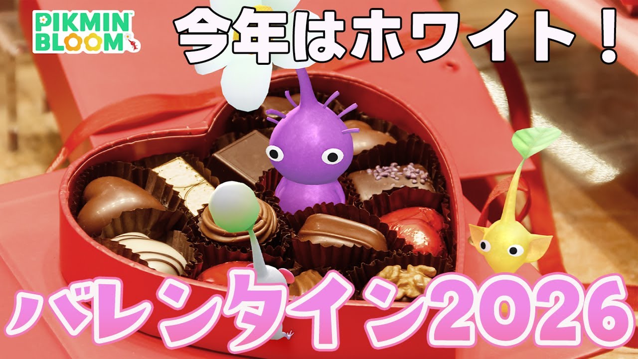 ホワイトになってやってくる！バレンタインチョコ2026！注意して欲しいことや４種類のデコの入手方法まとめ！【ピクミンブルーム/PikminBloom】