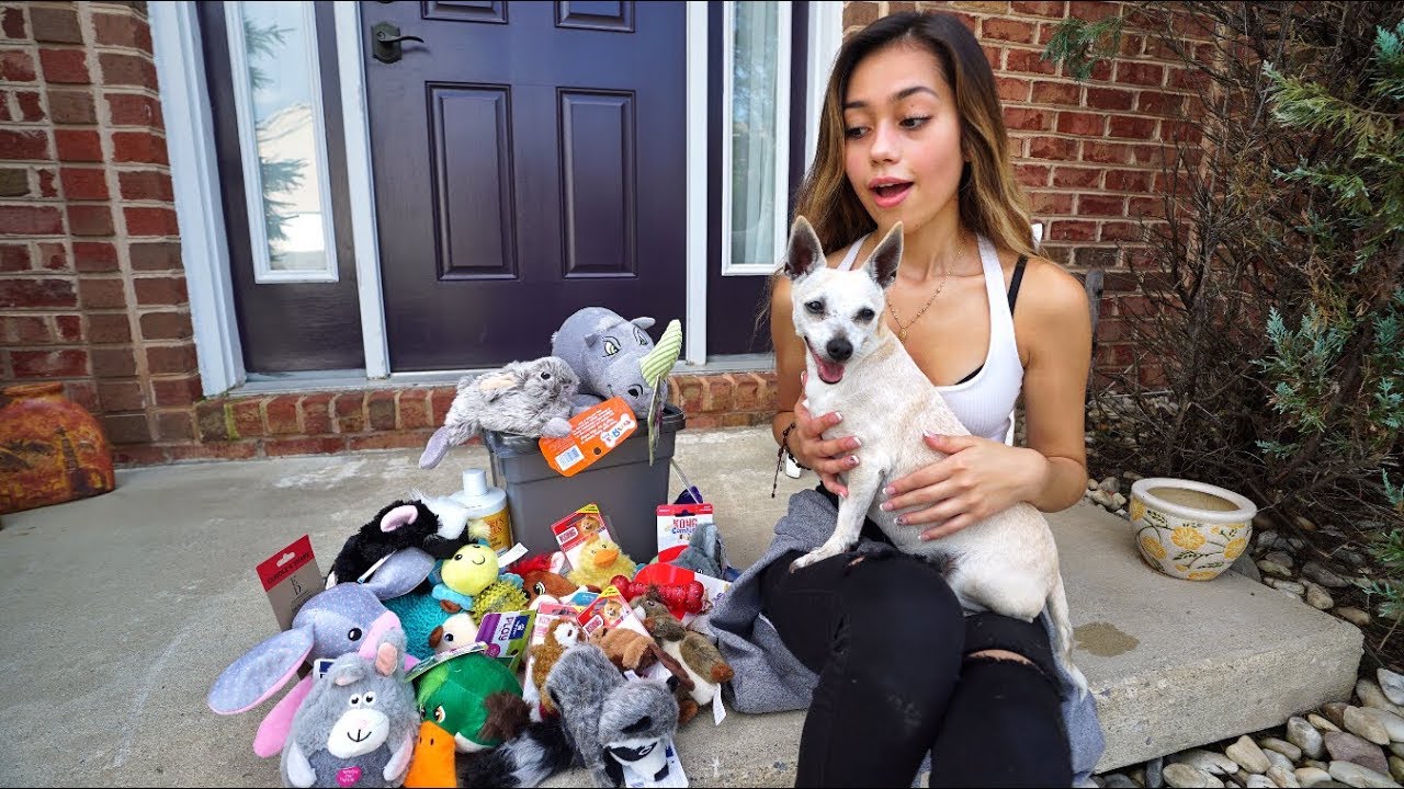 SURPRISING MY PUPPY WITH HER DREAM GIFTS!