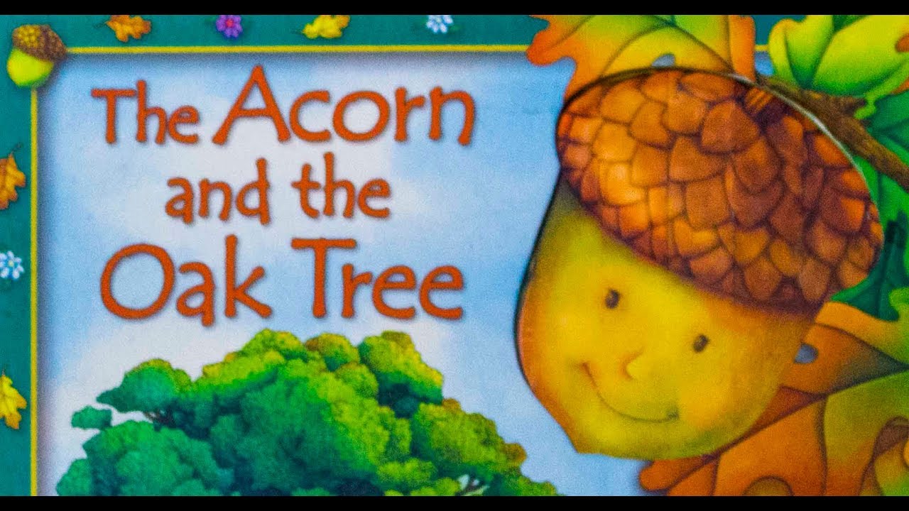 Storybook Junction: The Acorn and the Oak Tree #trending #bedtimestories