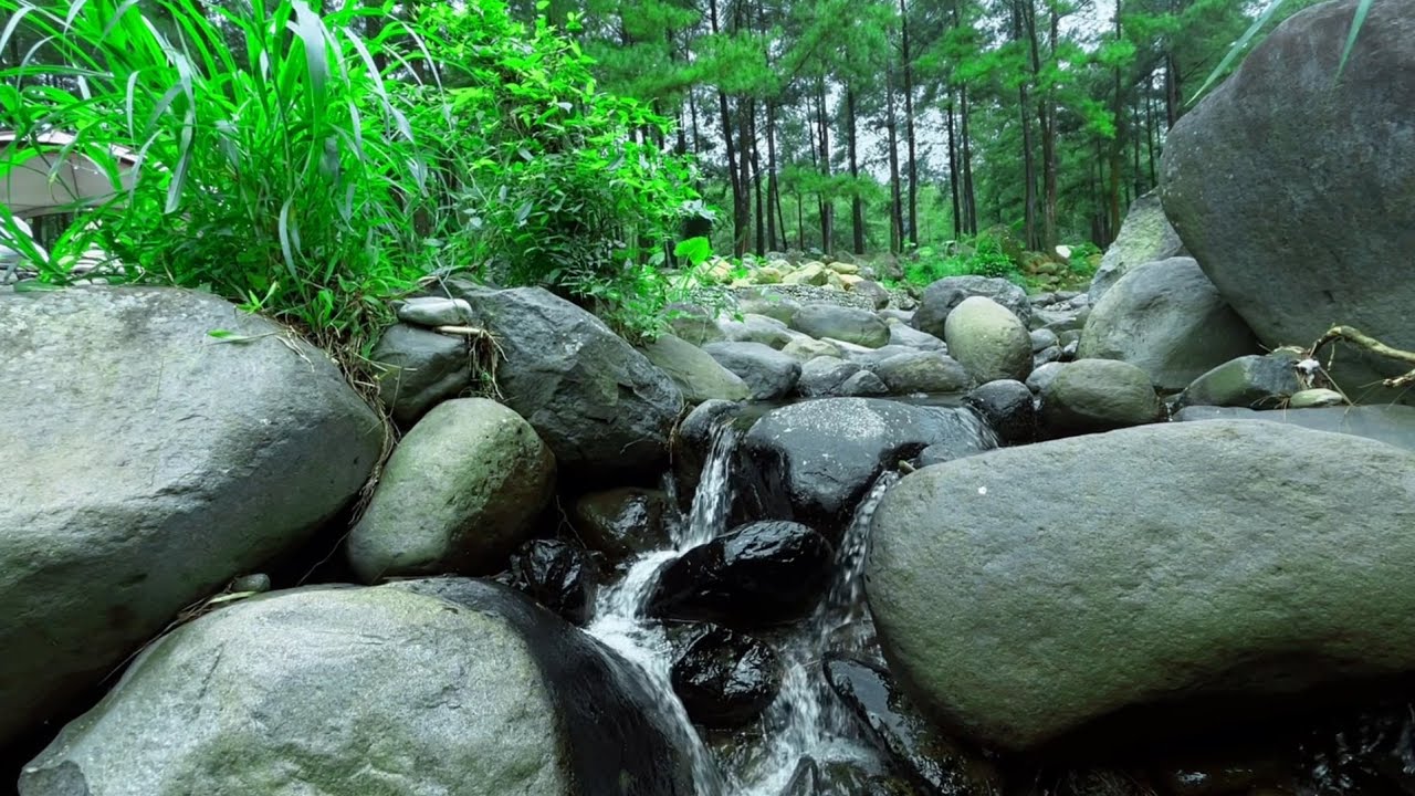 Serene Forest Waterfall Between Rocks | water sounds relaxation for Sleep, Meditation & Study