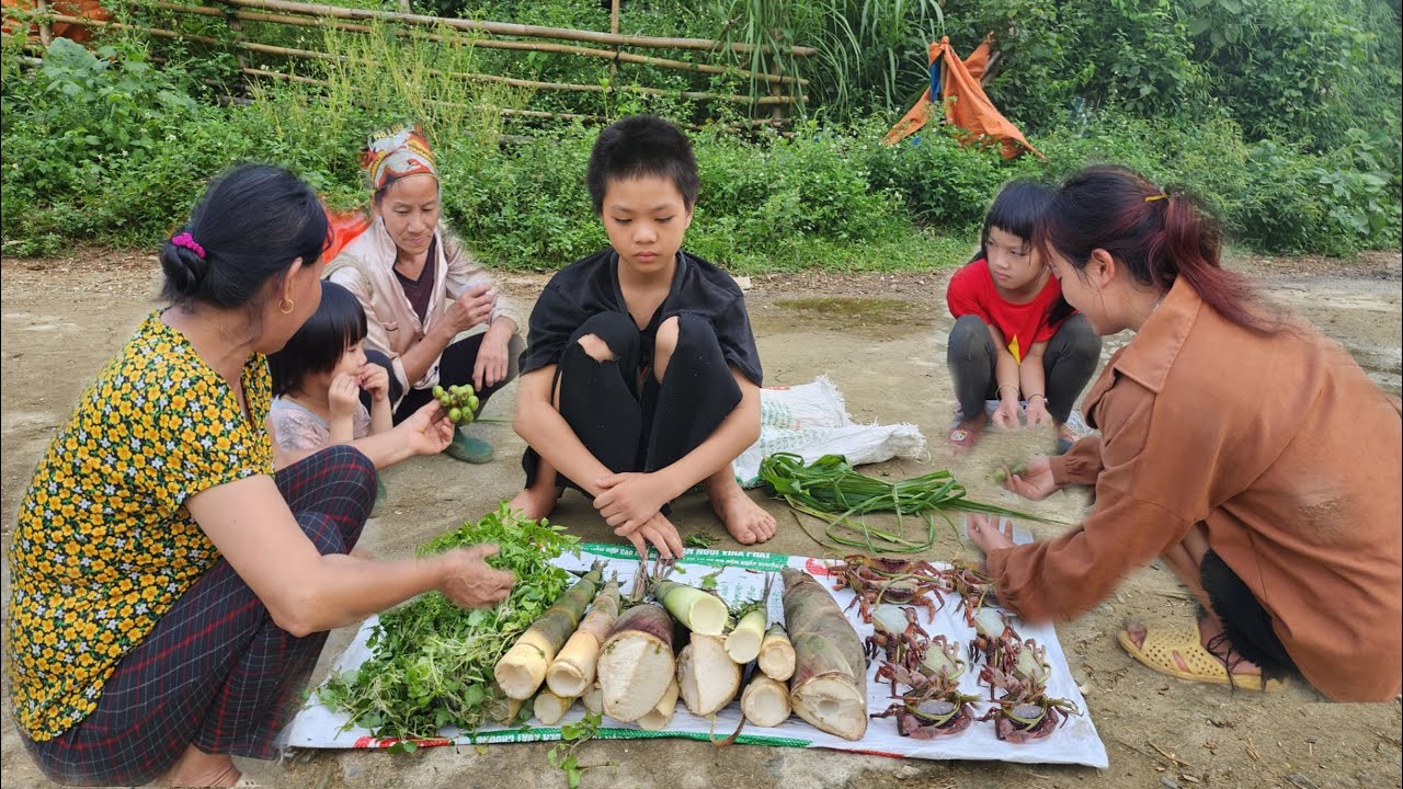 Full video: Orphans - Go to the forest to pick vegetables and fruits and sell them for a living