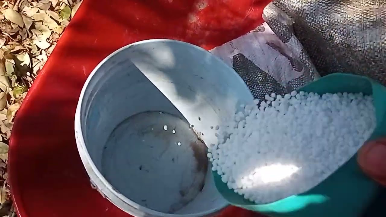 el mejor fertilizante para el nopal... he utilizado varios pero este es exelente y facil de adquirir