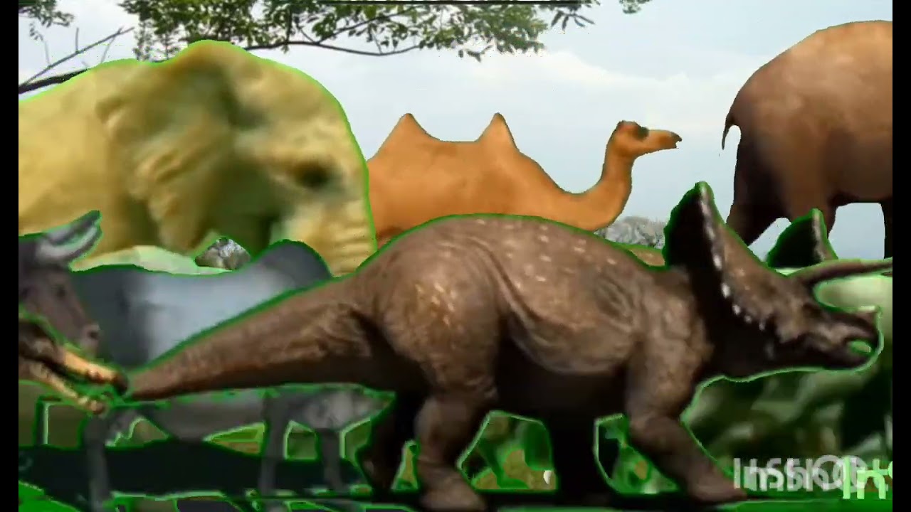 los animales caminando la selva