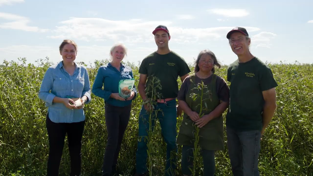 Meet the Farmers Behind Our Organic Faba Beans