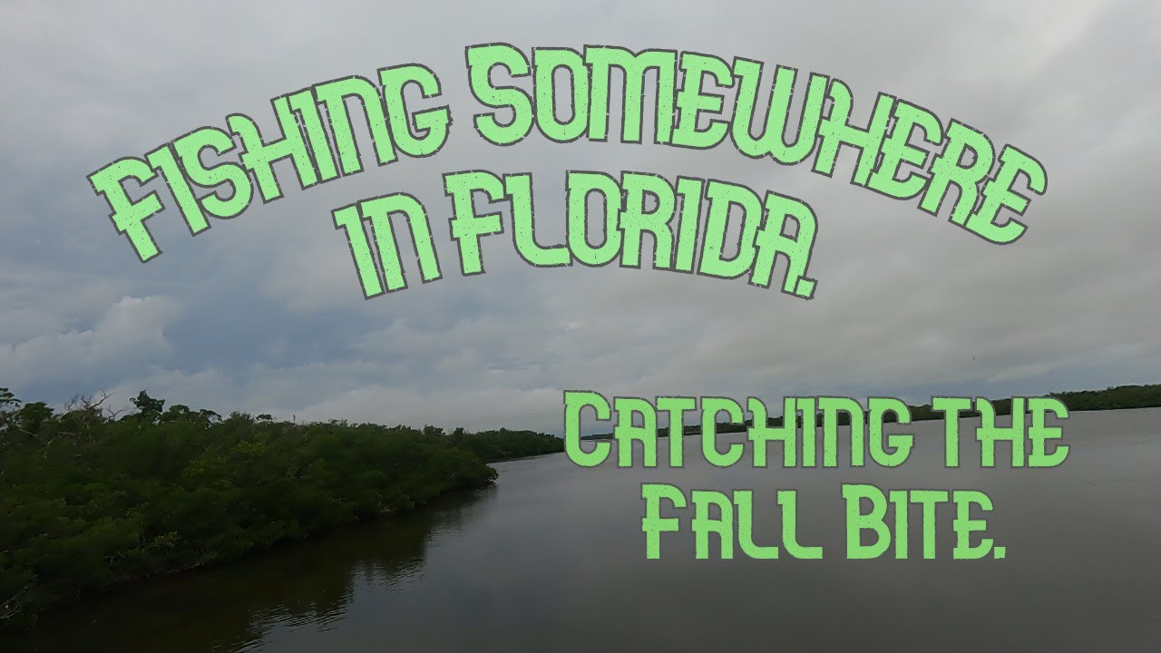 Catching the Fall Bite #robinsonpreserve#fishing#redfish#sheaphead