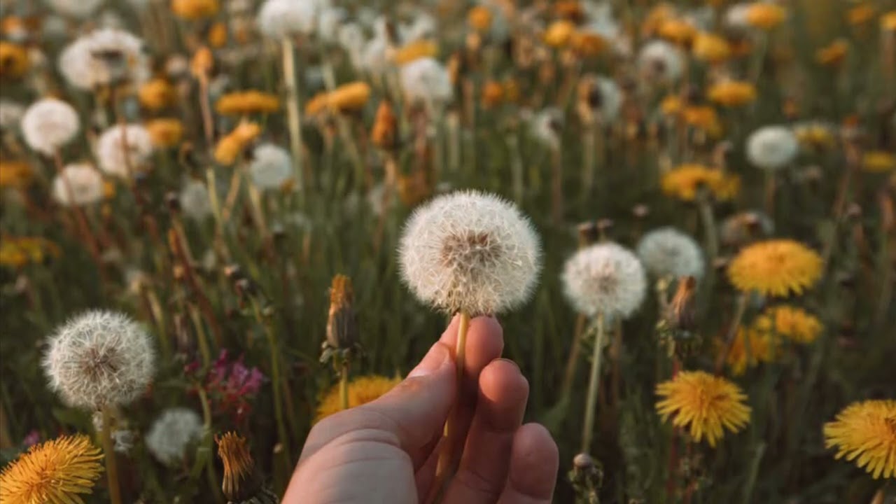 Floating in the Unknown Releasing Need to Know-Trusting the Mystery Meditation | Becoming You Anyway