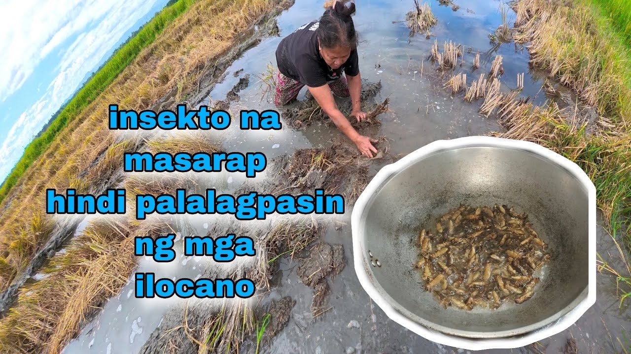 Ararawan sa bukid