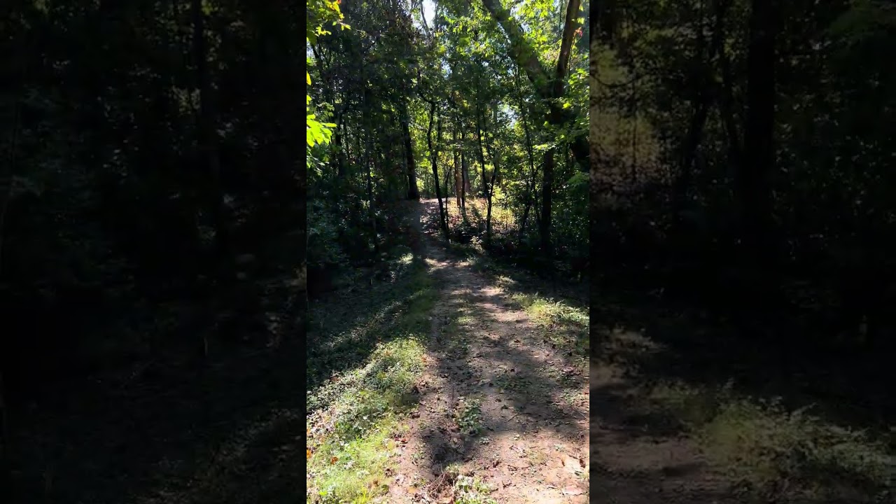 October Trail and sounds  -  hidden trail 