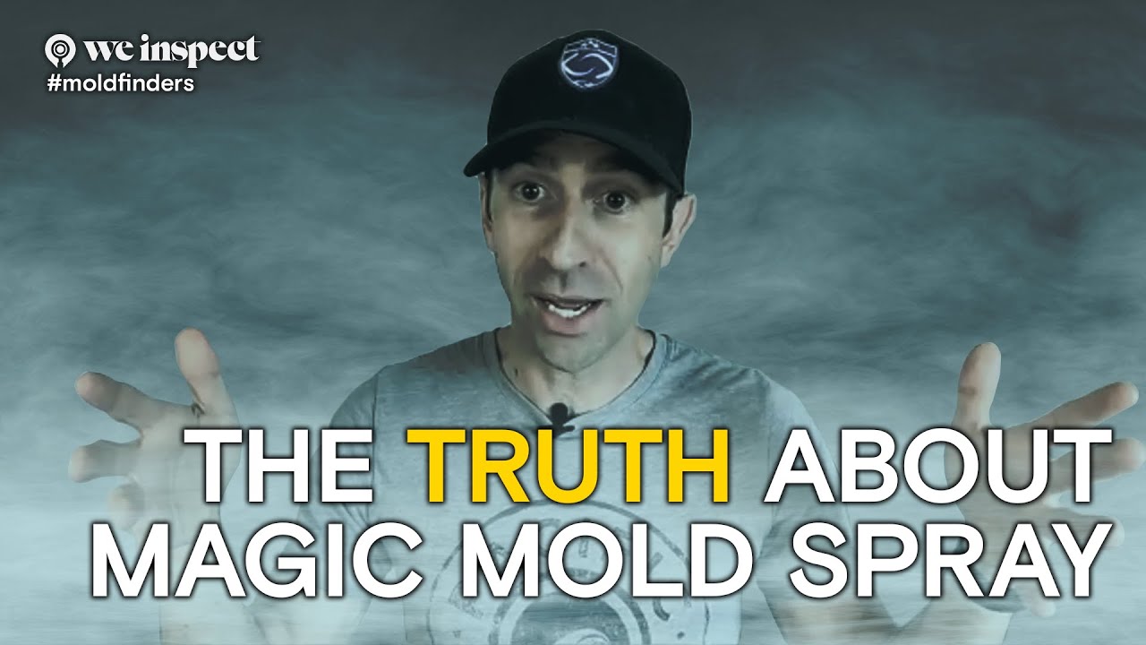 Mold Spray Done The RIGHT Way