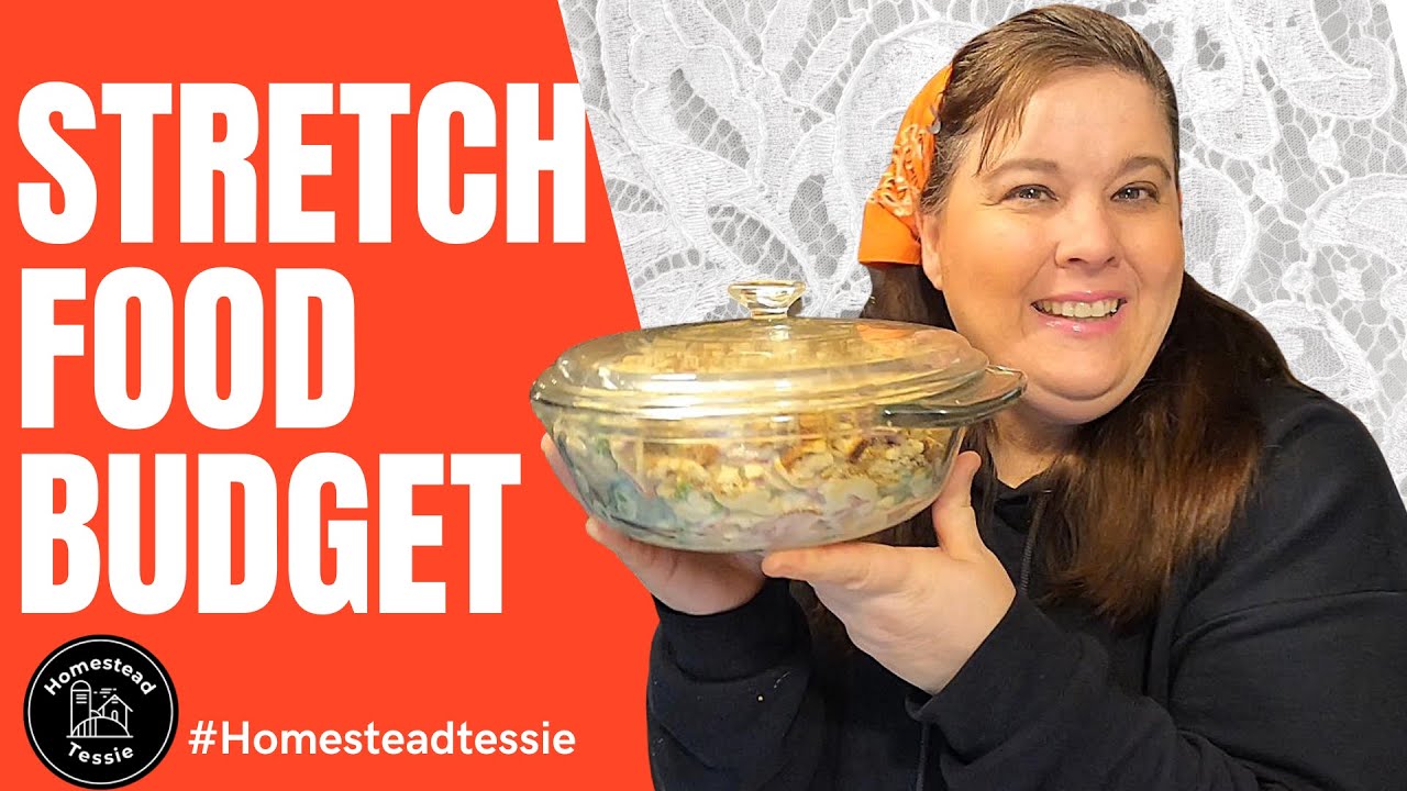 SECRET Way to Stretching MEALS -Food Budget on a Shoe String