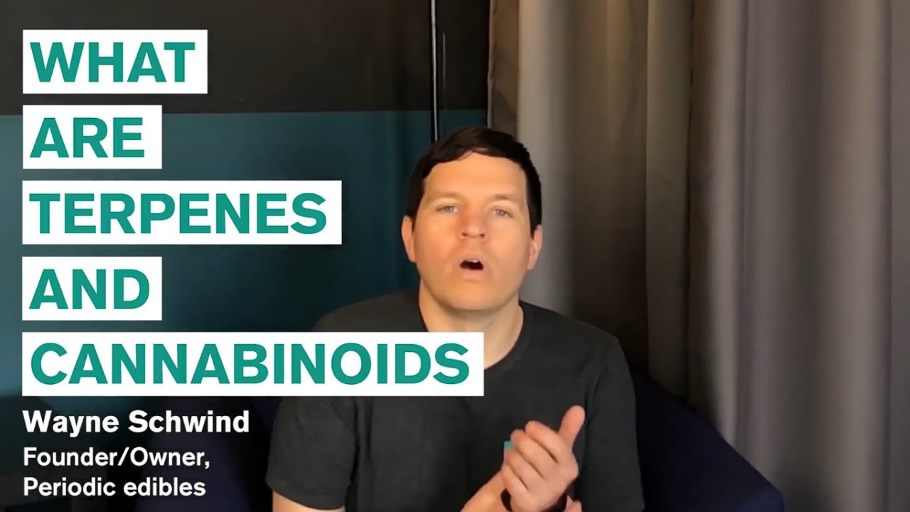 Why You Should Know About Terpenes & Cannabinoids in Cannabis