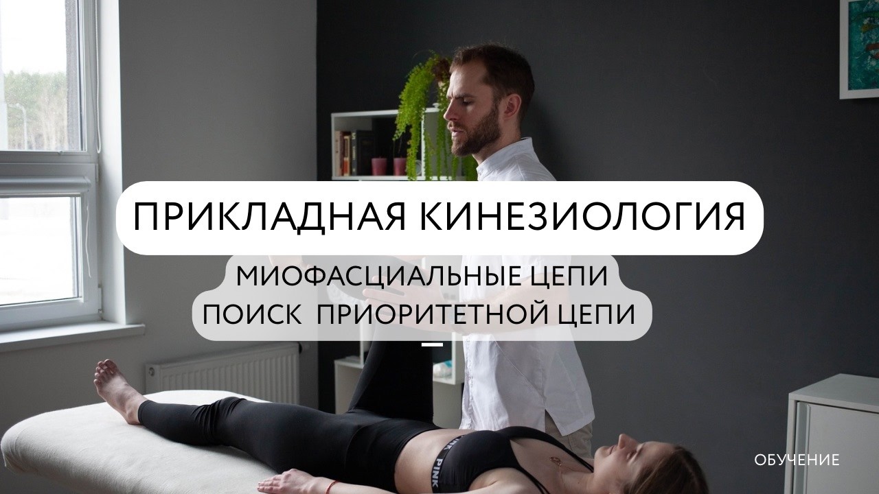 Прикладная кинезиология. Миофасциальные цепи. Поиск приоритетной цепи.