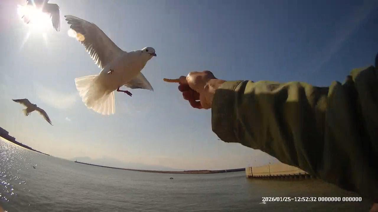 オヤジの休日