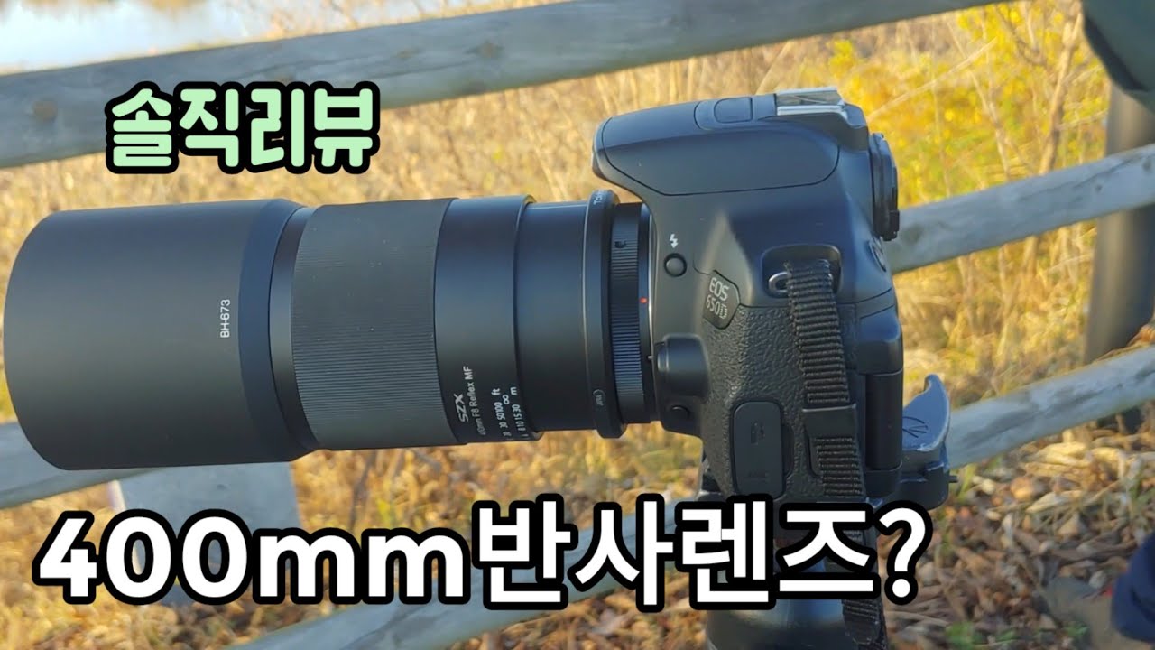 토키나 400mm 반사망원렌즈 테스트 탐조