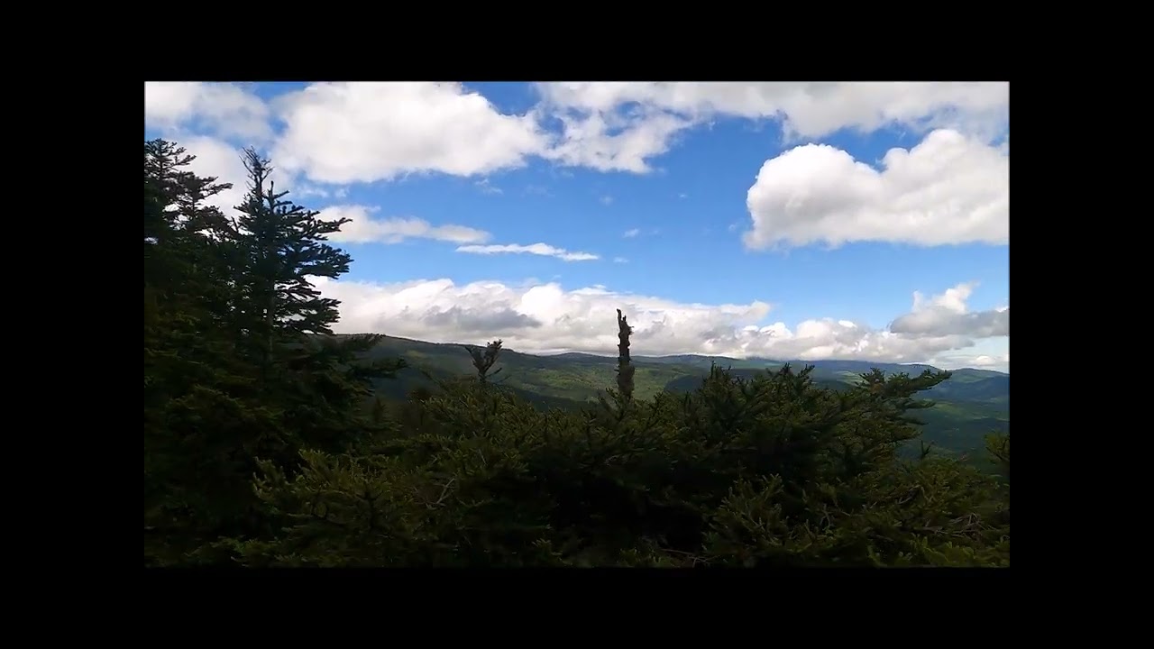 Dans les forêts du massif du Pilat