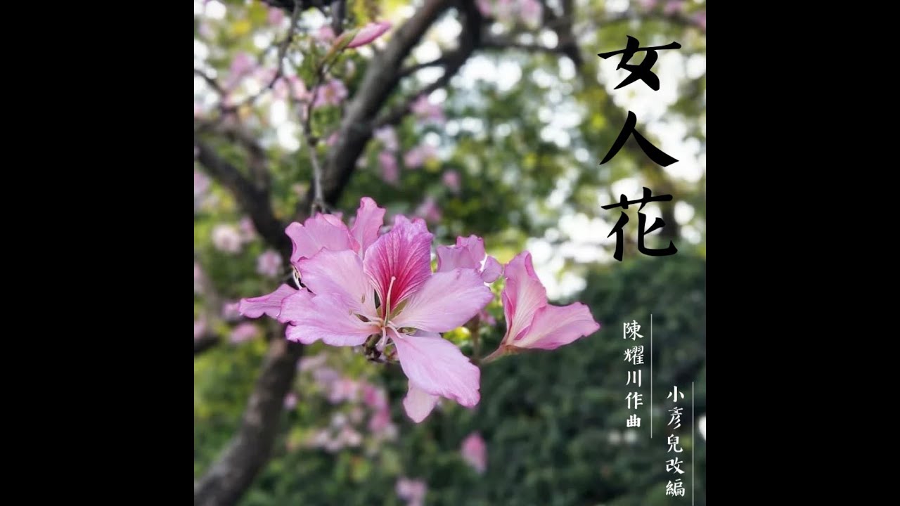 女人花 Ｄ調伴奏