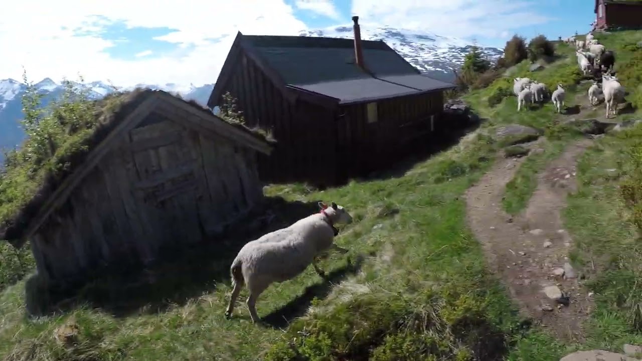 Przepiękna Rakssetra w okolicach Stryn