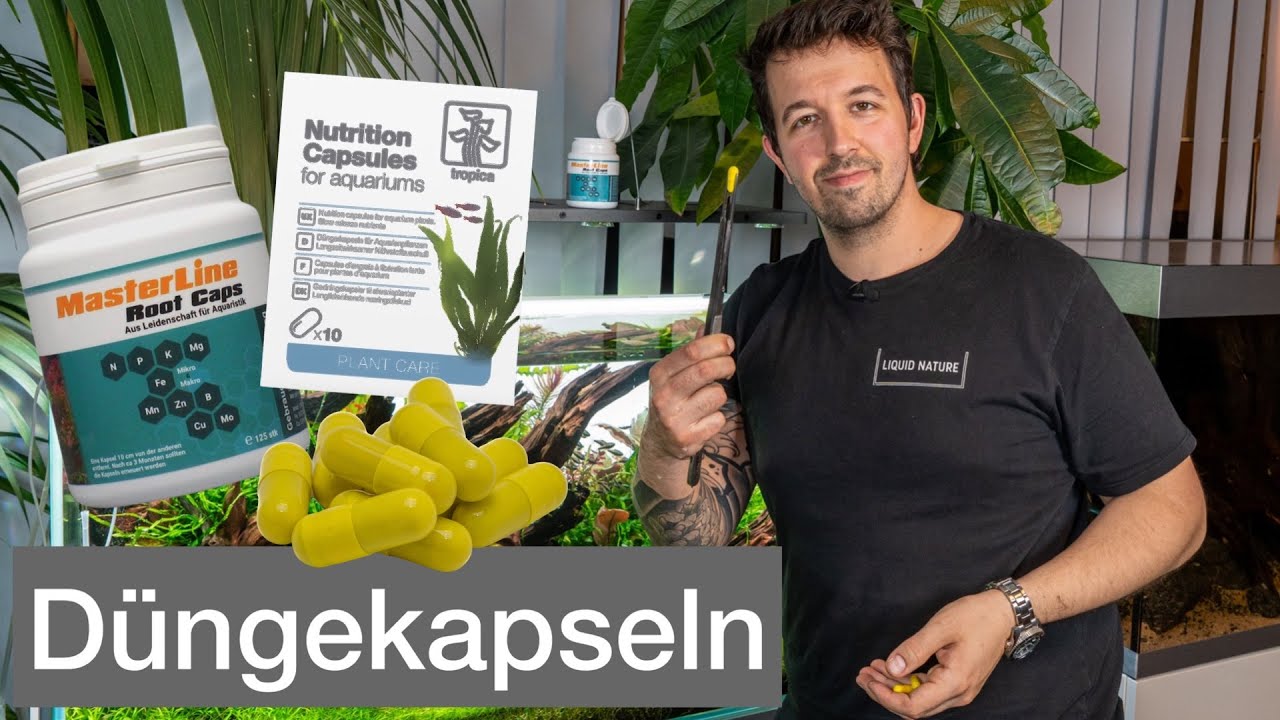 D&uuml;ngekapseln f&uuml;r Aquarienpflanzen! | Liquid Nature