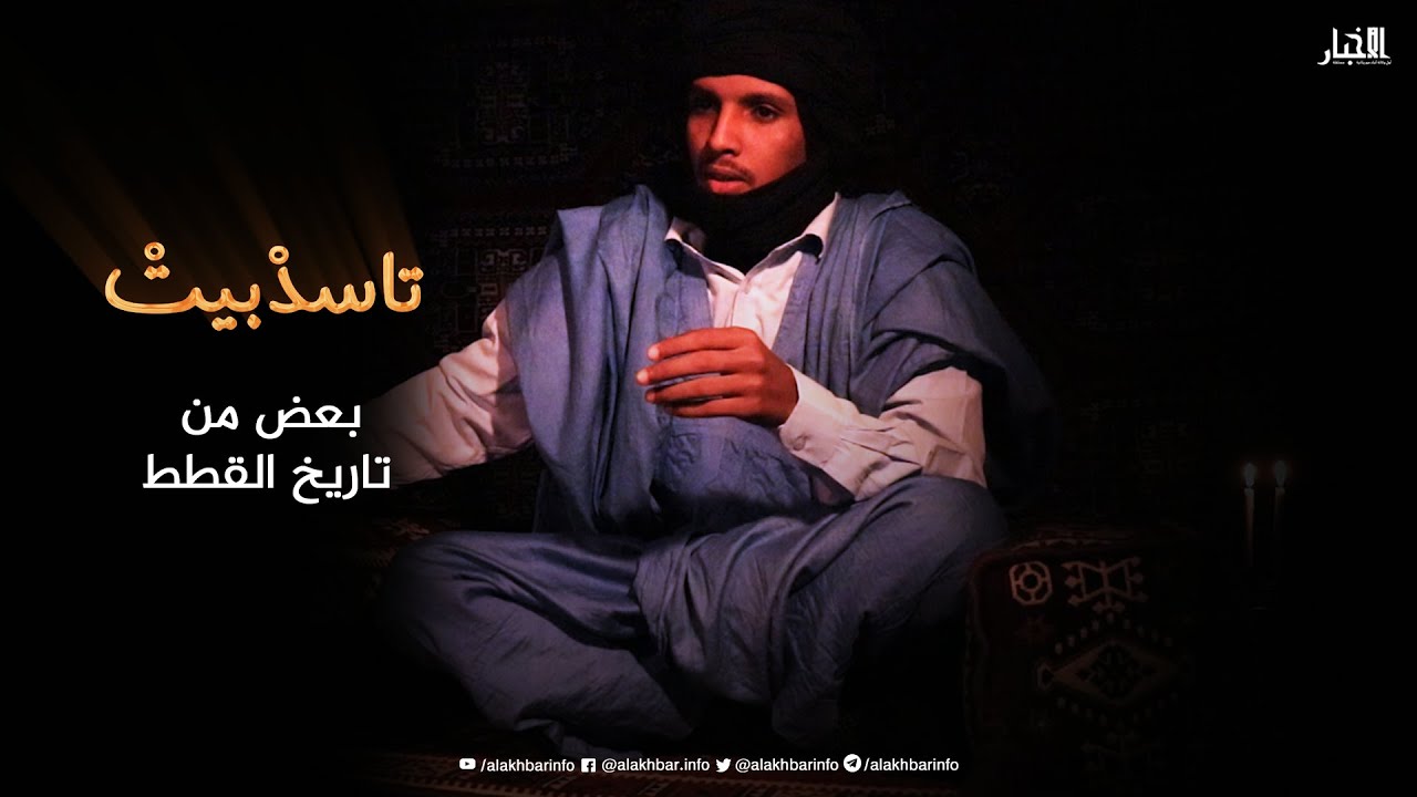 بعض من تاريخ القطط