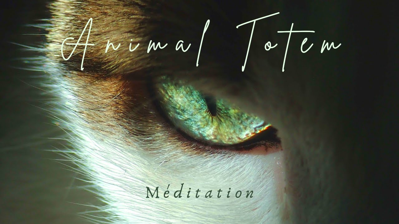 Méditation Guidée - Animal Totem - Pouvoirs Retrouvés et Messages Délivrés