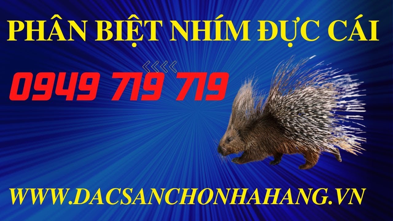 Kỹ Thuật Làm Chuồng Nuôi Nhím Và Thức Ăn Cho Nhím